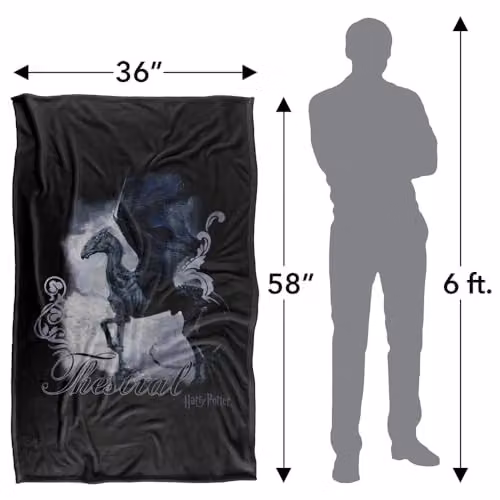 LOGOVISION Harry Potter Thestral Painting Super Soft Fleece Throw Blanket, Multicolour, W: 91.44 cm, L: 147 cm – 4