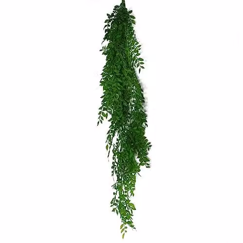 Leaf Design UK Hanging String of Pearls Fern Plant, Green, 100 cm
