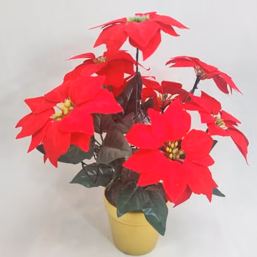 mysmartbuy Artificial Red Poinsettia Plant in a Gold Pot with LED Lights, Height: 35 cm, Diameter: 28 cm – 3