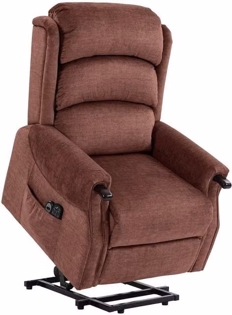 FORGEVIO Power Lift Recliner with Vibration Massage and Heat in Bronze Fabric