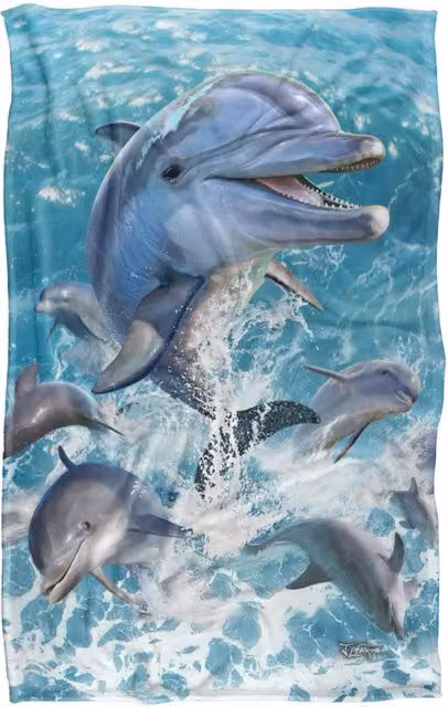 JQ Licensing Jlo Dolphins Jumping Silky Touch Super Soft Fleece Throw Blanket, Blue Multicolour, W: 91 cm, D: 147 cm – 4