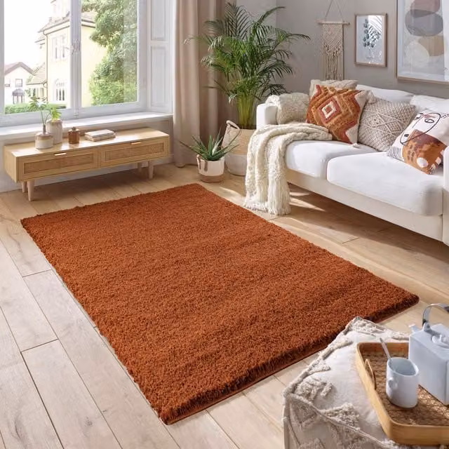 Smart Living Soft Fluffy Shaggy Area Rug in Terracotta, W/D/H: 110 x 60 x 5 cm