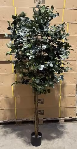 LeafUK Green Fire Resistant Artificial Olive Tree, Height: 180 cm – 7