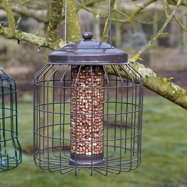Gardman Heavy Duty Squirrel-Proof Peanut Feeder in Brown Metal
