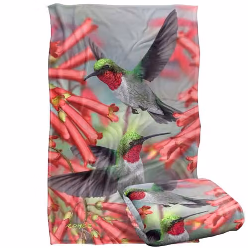 JQ Licensing Royce Mcclure Hummingbirds Silky Touch Super Soft Floral Throw Blanket, Multicolour, W/D/H: 91 x 147 cm