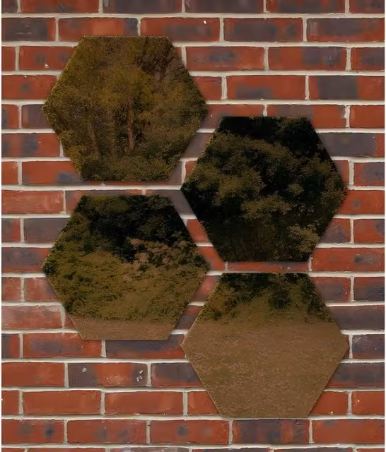 Primrose Wall Mounted Non Shatter Acrylic Hexagonal Geometric Mirror in Bronze and Gold