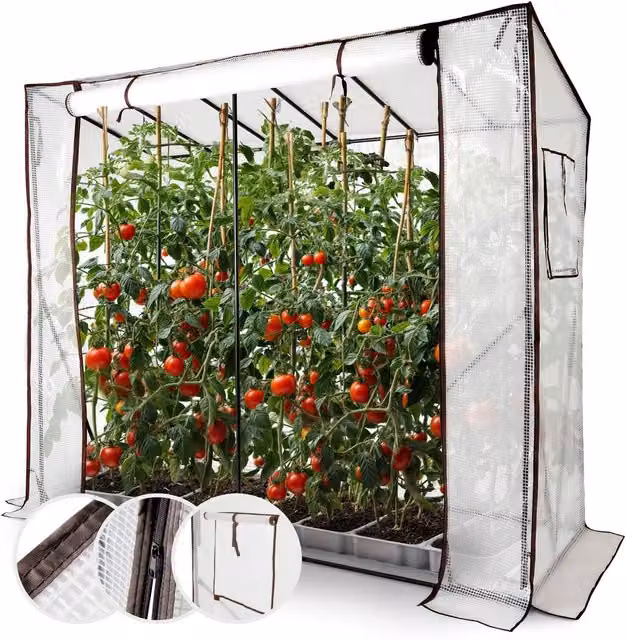 Arebos White Pent Tomato Greenhouse with Roller Windows and Metal Frame for Vegetable, Herb and Ornamental Gardens