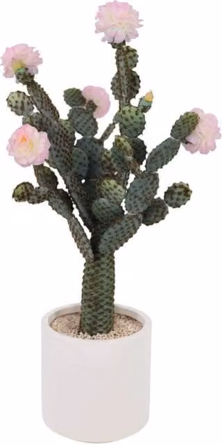 VOGREX Artificial Potted Cactus Succulent in Green and Multicolour for Tabletop Display