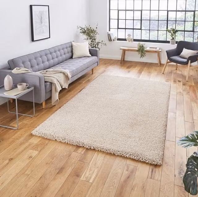 Terrys Modern Plain Rectangular Shaggy Rug in Brown and Beige, Stain Resistant Polypropylene