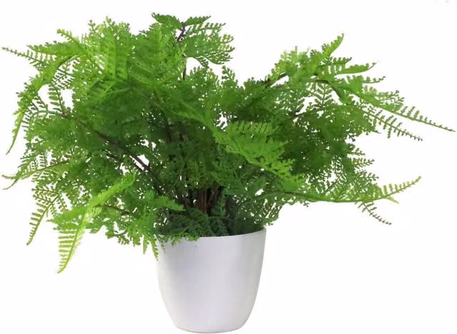 Mini Fern Artificial Potted Lady Fern in Green