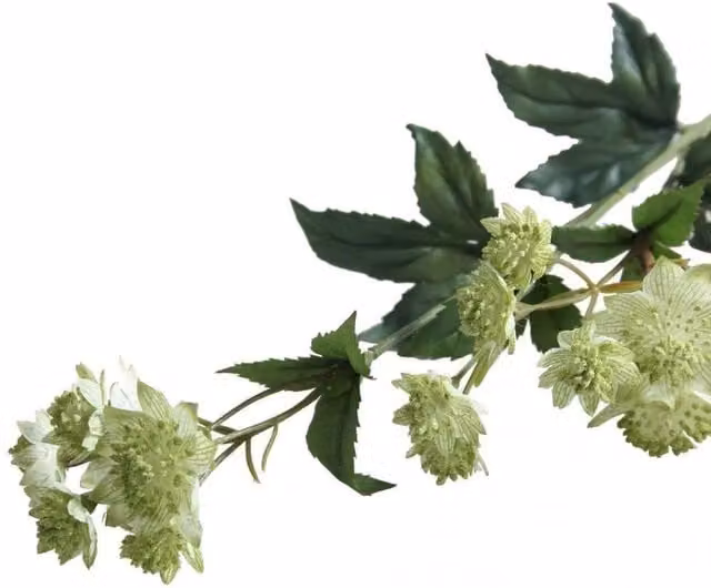 KDMD Green Astrantia Artificial Flowers, 2 Pack