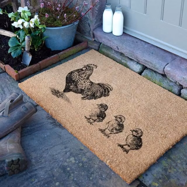 Artsy Mats Chickens & Chicks Doormat, Brown, W: 90 cm, D: 60 cm – 1