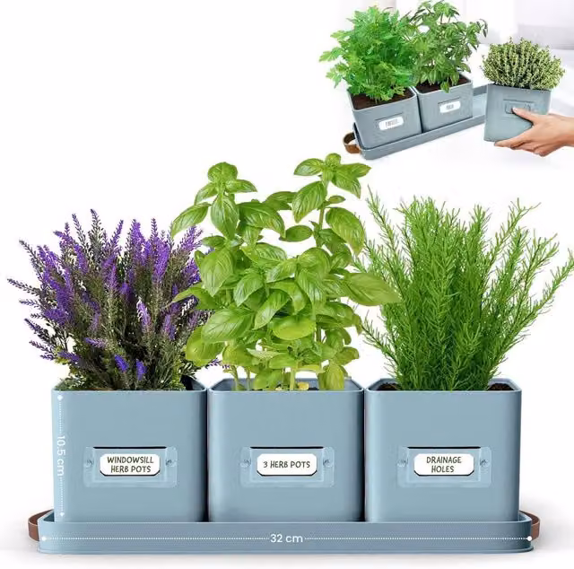 Green Thumbz Set of 3 Indoor Herb Planters with Leather Handled Tray in Petrol Green – 1