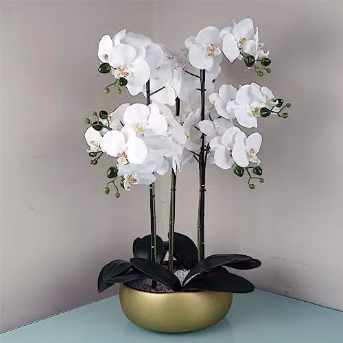 Leaf Design UK Realistic White and Gold Artificial Orchid in a Green Ceramic Planter, Height: 60 cm – 3
