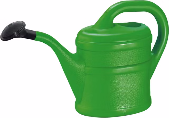 Essential Indoor Watering Can Green with Rose in Green and Black Plastic