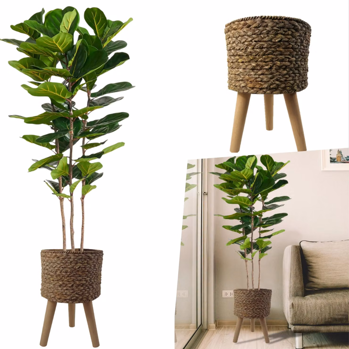 Pegdev 180cm Premium Artificial Fiddle Fig Tree with Woven Effect Planter in Green – 5