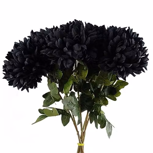 Leaf Pack of 6 Black Textile Artificial Extra Large Reflex Chrysanthemum, Height: 75 cm – 1