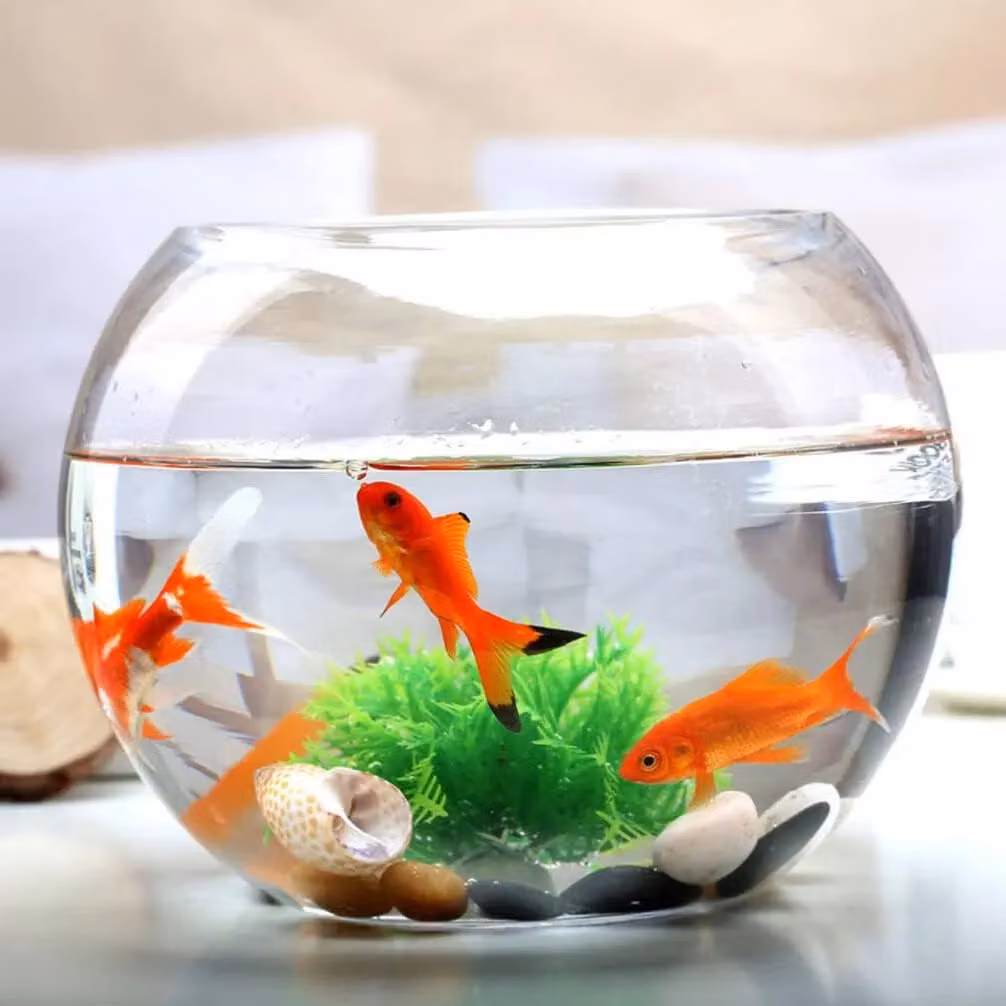 Simpa Set of 2 Transparent Glass Round Fish Bowl Centerpiece Vases, Diameter: 19.0 cm – 2