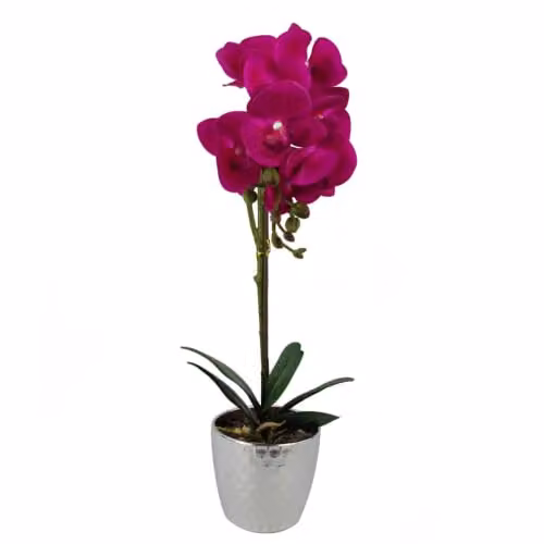 Leaf Design UK Realistic Artificial Phalaenopsis Orchid Flower Display in Pot, Pink and Silver, Height: 50 cm
