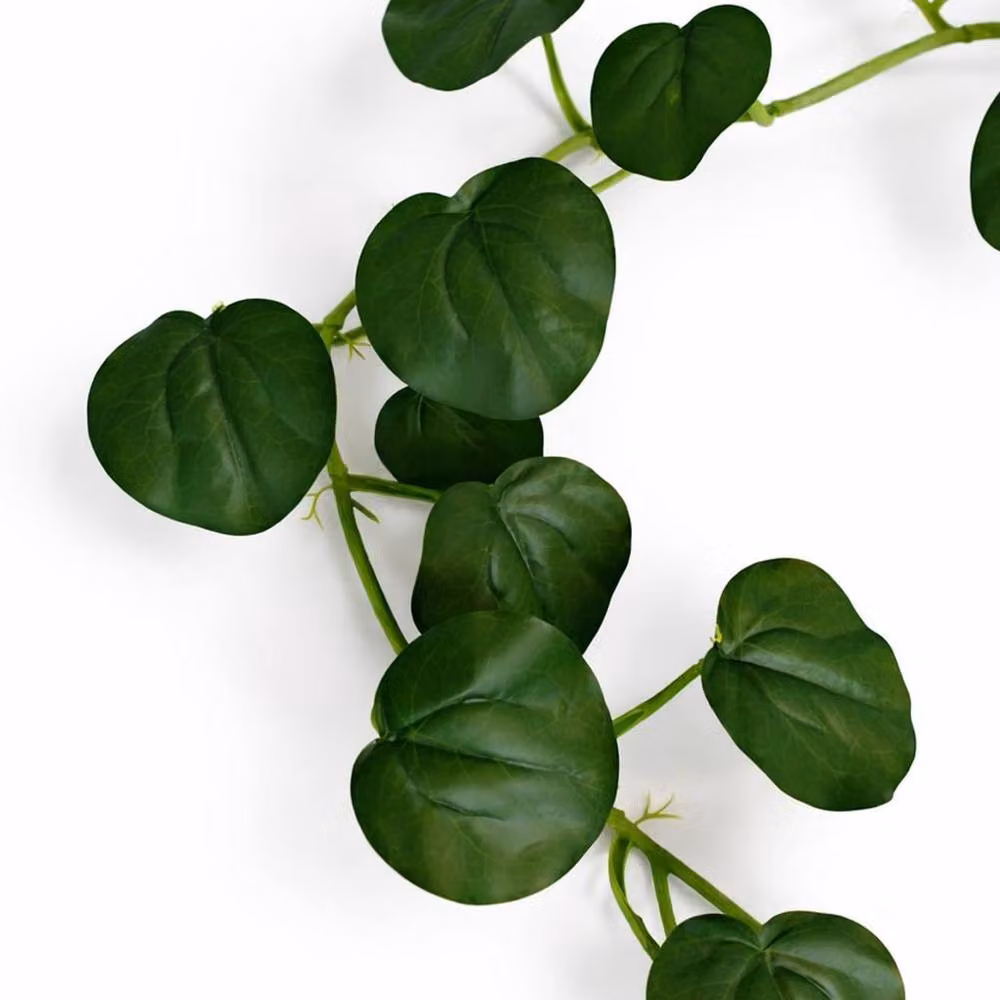 Leaf Green Artificial Round Pilea Hanging Garland Decoration, 160 cm – 4