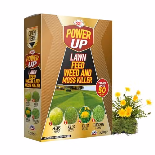 Doff Power Up Lawn Feed, Weed and Moss Killer Granules, 1.6kg – 1