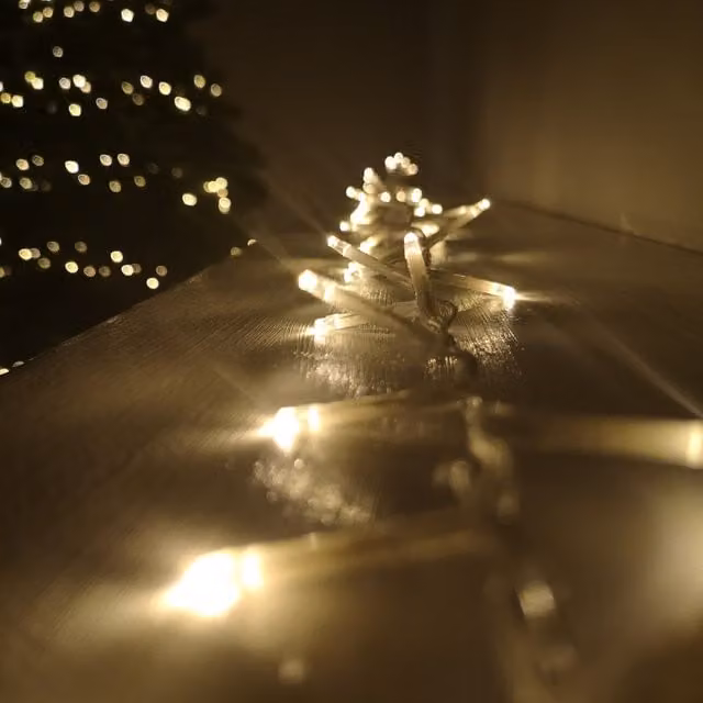 Samuel Alexander Premier TreeBrights 1000 LED Christmas String Lights, Warm White, 25m, Mains Operated with Timer and Clear Cable for Indoor and Outdoor Use