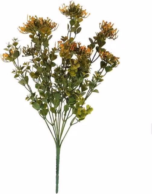 KDMD Essential Orange and Green Sedum Bush 3 Pack