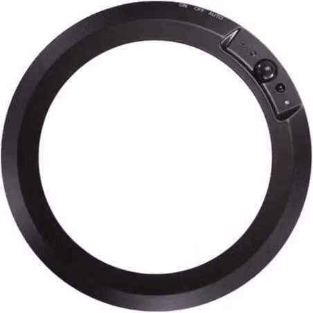 PAWNORA Black Motion Sensor Ring Ceiling Light – 1