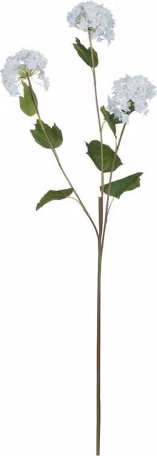 Hill Interiors Artificial Viburnum Opulus in White