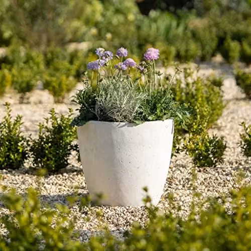Primrose White Egg Shape Polystone and Fiberstone Planter for Indoor and Outdoor Use, 36 cm
