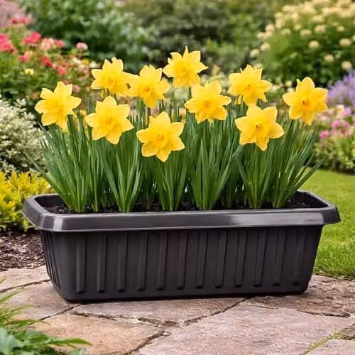 Simpa Plastic Chunky Trough Planter Pots, Black, Set of 2, Length: 75 cm – 2