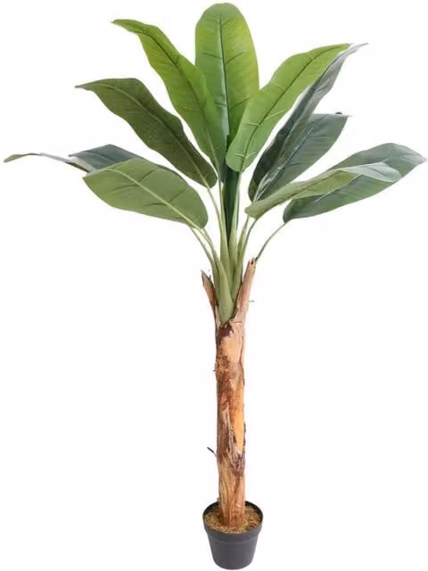 KDMD Artificial Banana Tree, Green, Height: 165 cm