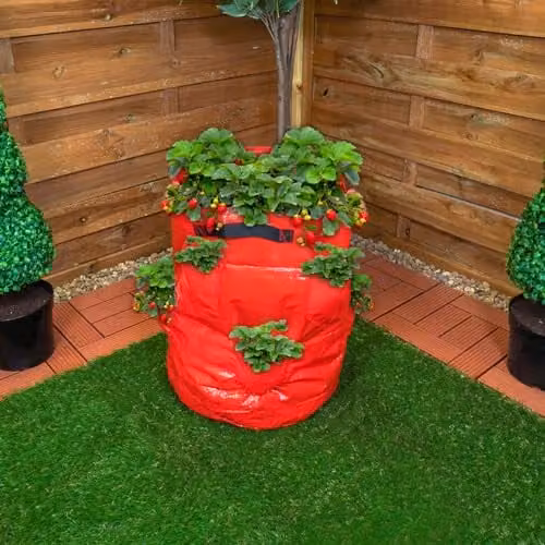 mysmartbuy Strawberry Planter Grow Bag, Red, H45 x 35cm Dia