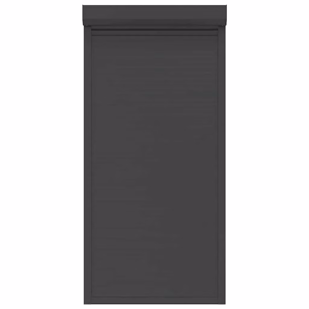 Berkfield Home Manual Aluminium Roller Shutter, Anthracite, W: 100 cm, H: 210 cm – 2