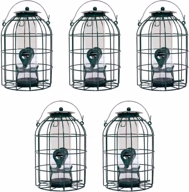 Samuel ALEXANDER Pack of 5 Green Metal Mesh Wild Bird Seed Feeder Cages with Squirrel Guard