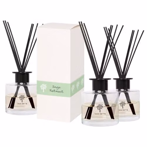 Nicola Spring Sage Retreat Glass Reed Diffuser, 200ml, Green and Transparent Spicy Scented Air Freshener with Sticks