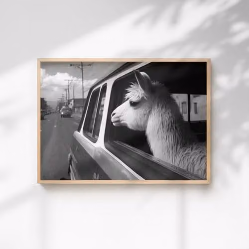 60 Second Makeover Llama In A Car Paper Poster, A4, Multicolour