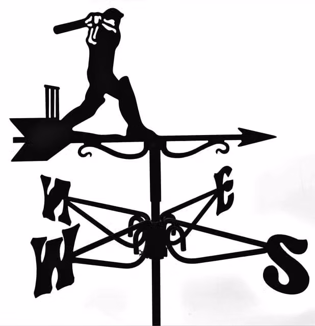 Espira Cricketer Mini Metal Weathervane in Black
