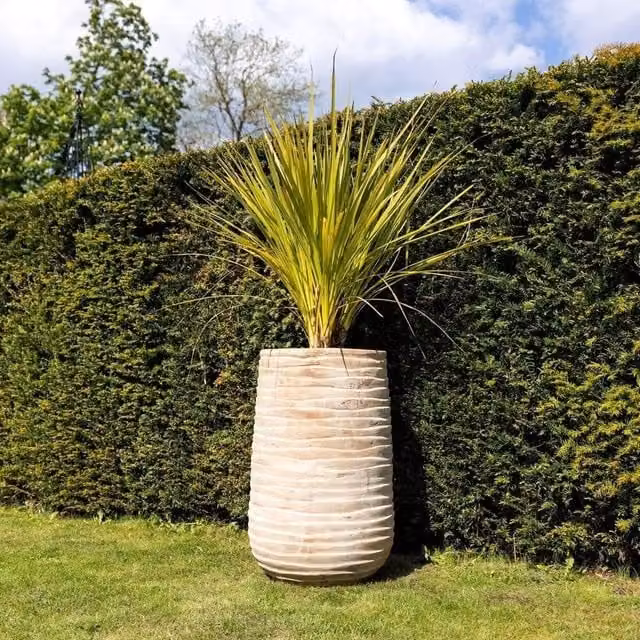 Primrose Tall Round Ribbed Terracotta Planter in Beige, Height: 59 cm – 6