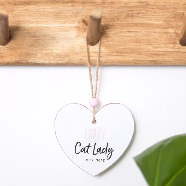 Crazy Cat Lady Small Hanging Heart Sentiment Wall Plaque in White by Kingsbury Gifts