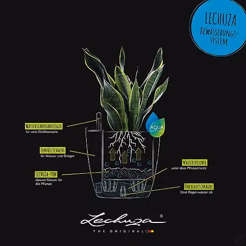 Lechuza Classico Self Watering Plant Pot, Sand – 2