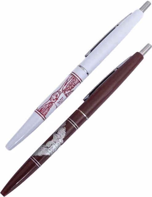 Harry Potter Hedwig Ballpoint Pens, Pack of 2, Multicolour