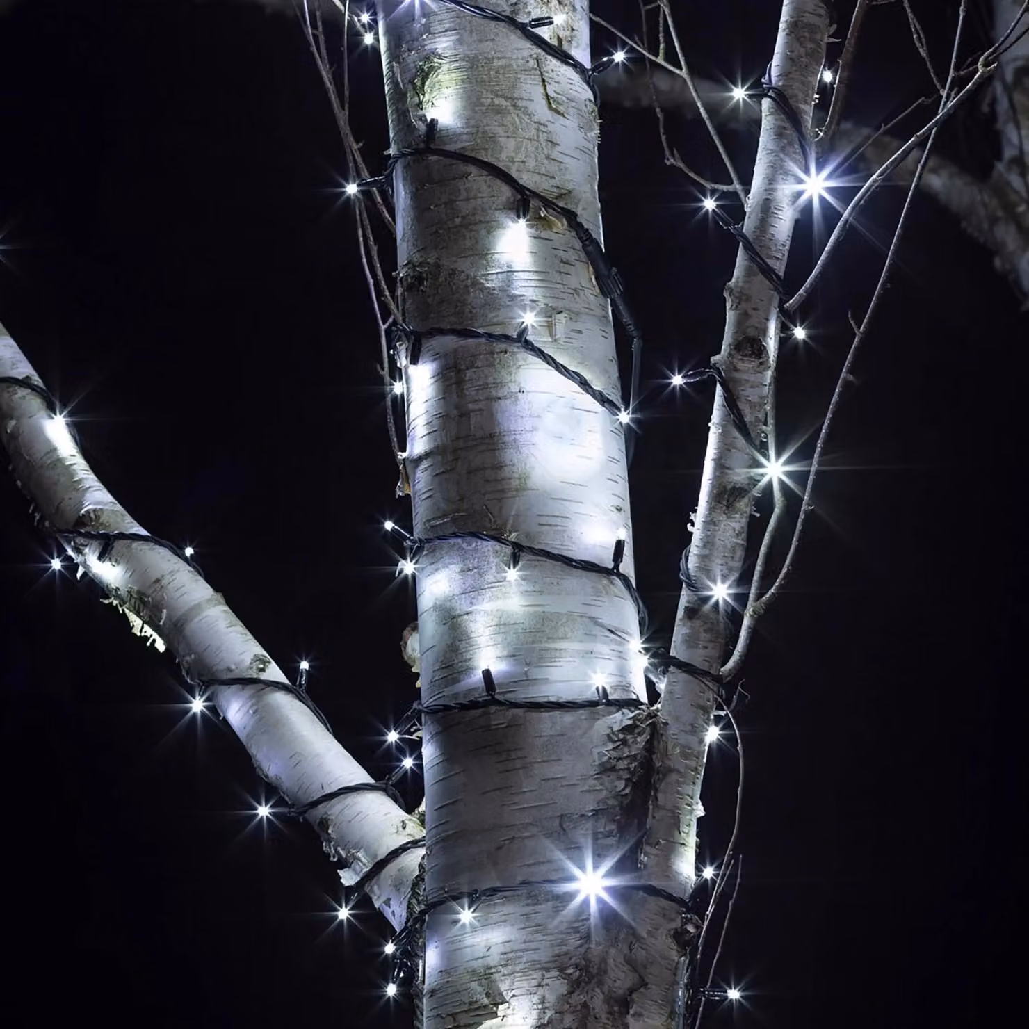 Pro Connect White LED Connectable String Lights with Black Cable, 145m