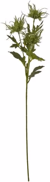 Hill Interiors Sea Holly Artificial Flower Spray in Green – 1