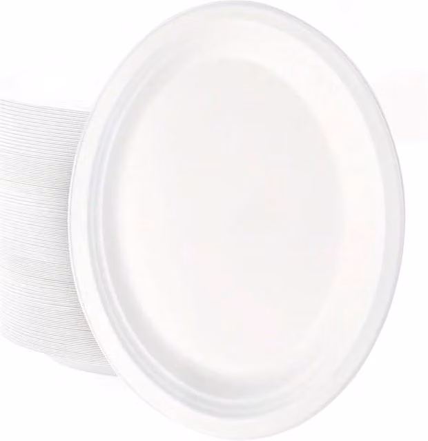 ECONX White Biodegradable Bagasse Disposable Oval Dinner Plates, 50 Pieces