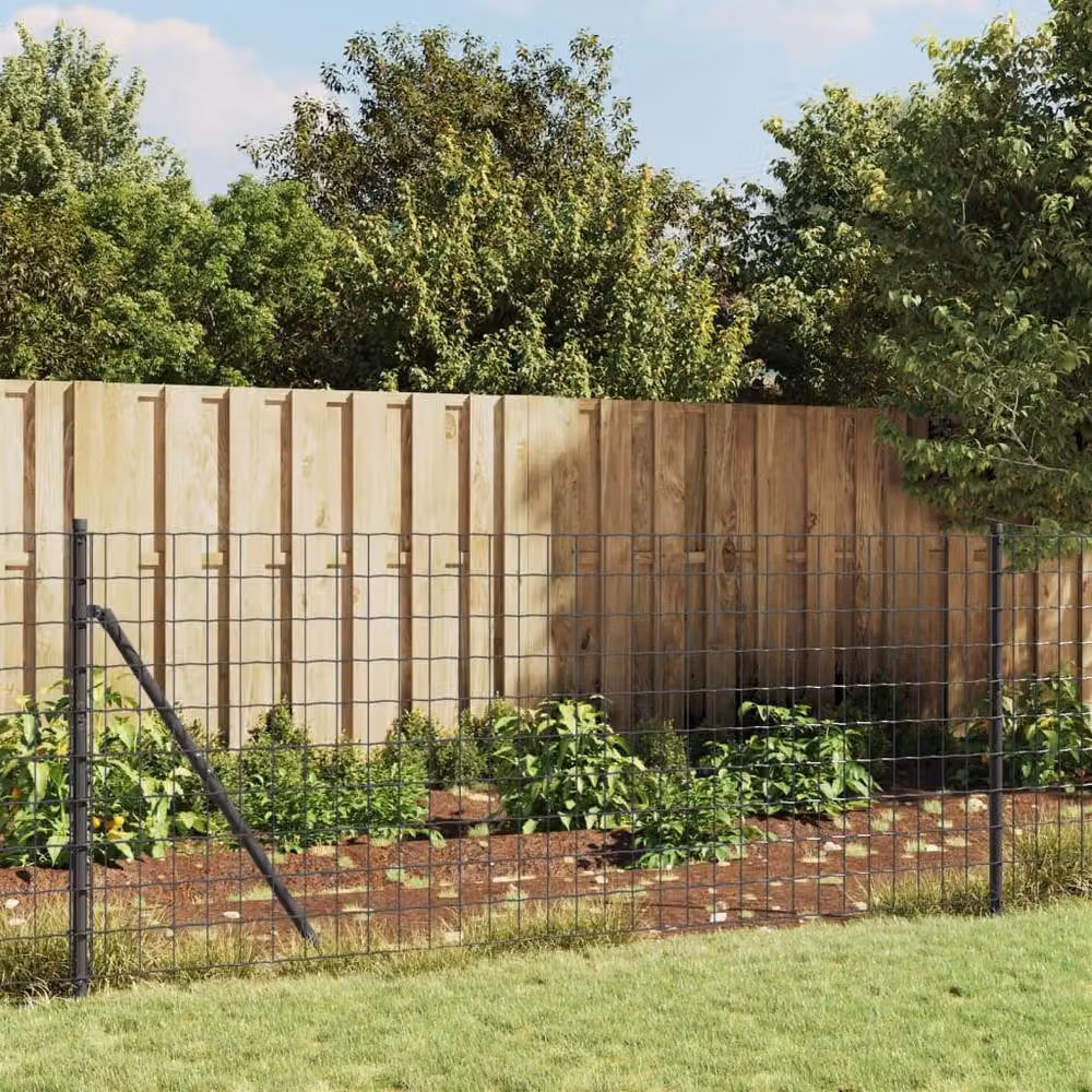 Berkfield Home Anthracite and Black PVC-Coated Galvanised Steel Wire Mesh Fence – 1