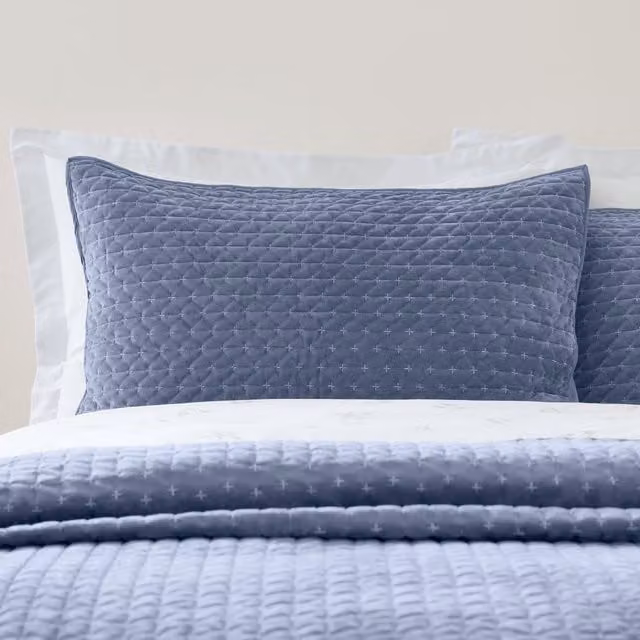 Bianca Attica Velvet Embroidered Pillow Sham Pair in Blue