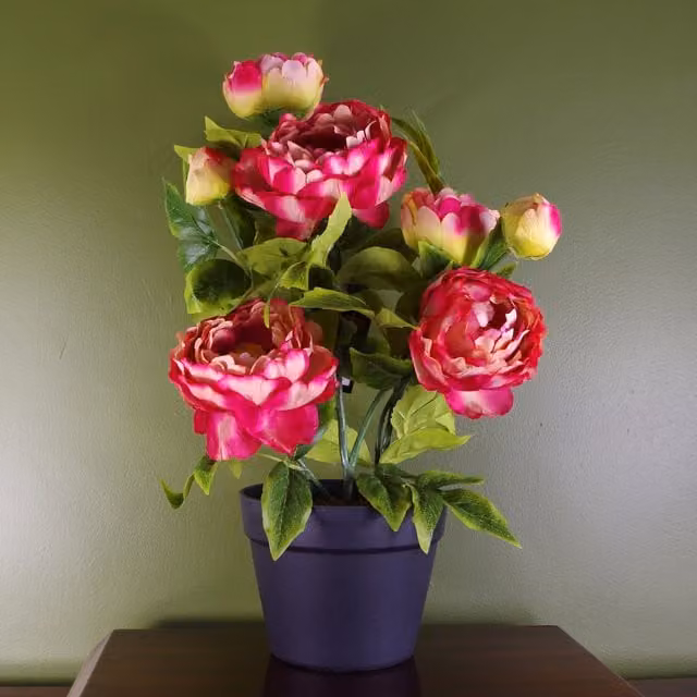 Pink Artificial Peony Flowering Plant in Black Pot, H 18.0 cm x W 14.0 cm x D 14.0 cm