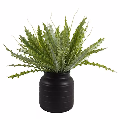 Leaf Design UK Black Geometric Ceramic Tabletop Vase Planter W/D/H: 13 x 13 x 14 cm – 5