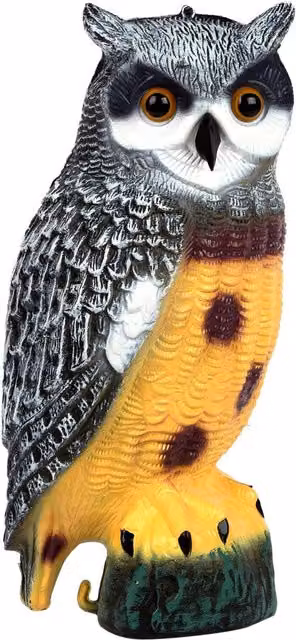 Redwood Owl Bird Deterrent, Grey and Multicolour, Height: 40 cm